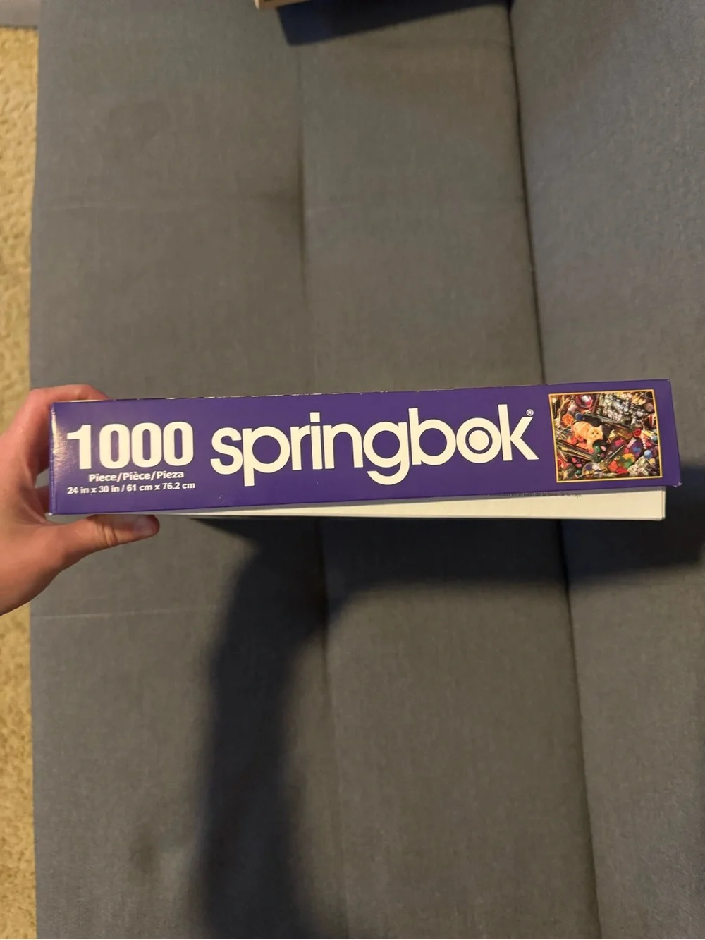 Springbok 1000-Piece Puzzle - Colorful Orange Cat